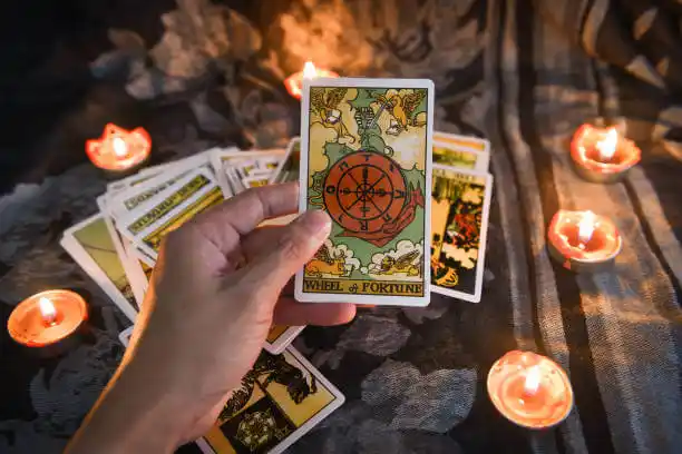 tarot cards Wood-Ridge